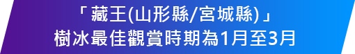 「藏王(山形縣/宮城縣)」 樹冰最佳觀賞時期為1月至3月 