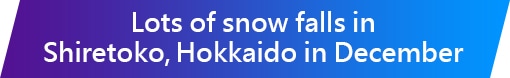 Lots of snow falls in Shiretoko, Hokkaido in December