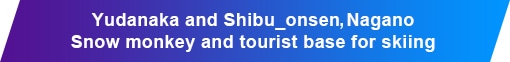 Yudanaka and Shibu_onsen, Nagano　Snow monkey and tourist base for skiing