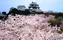 Matsuyama Castle（Ehime）