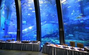 Party in an aquarium