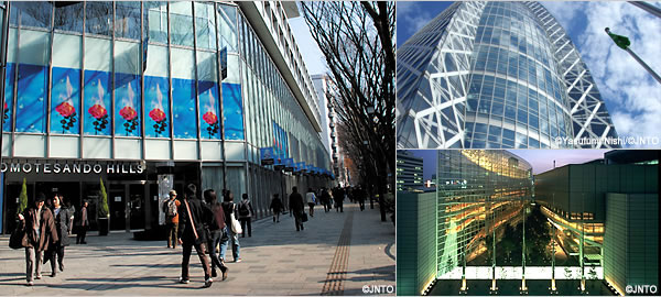 Strolling through the Contemporary Architectures in Tokyo