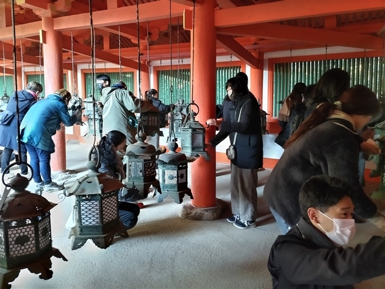 春日大社での清掃ボランティア活動