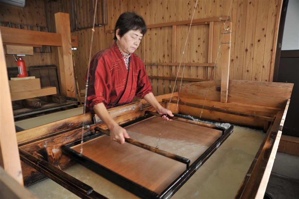 Unique insight into washi paper manufacturing