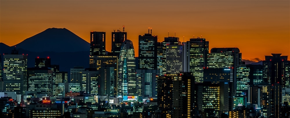 Immerse yourself in Tokyo and discover the beating heart of  this fascinating city