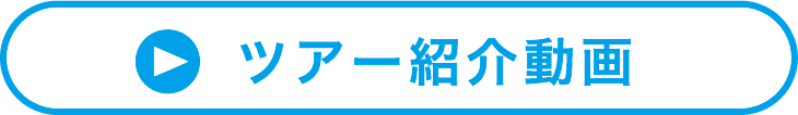 ツアー紹介動画