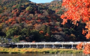 Autumn leaves in Arashiyama, KYOTO