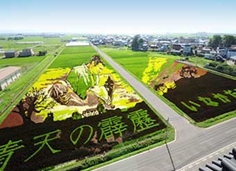 autumn in TOHOKU