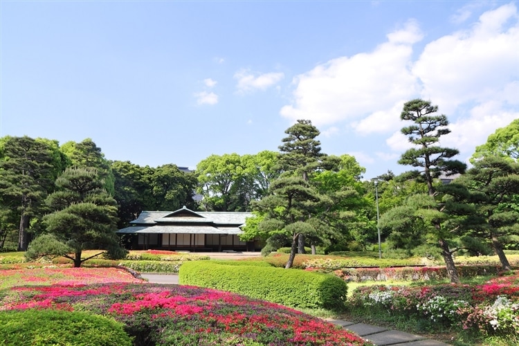 Group Tours