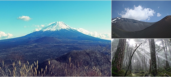 Unlock The Secrets of Mt.Fuji with an Experienced Pioneer