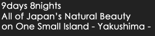 9days 8nights All of Japan's Natural Bounty on One Small Island -Yakushima-
