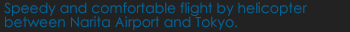 Speedy and comfortable flight by helicopter between Narita Airport and Tokyo.
