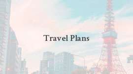 Travel Plans