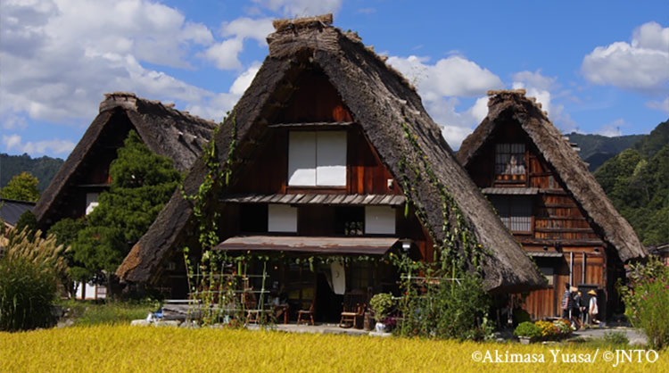 CHUBU AREA