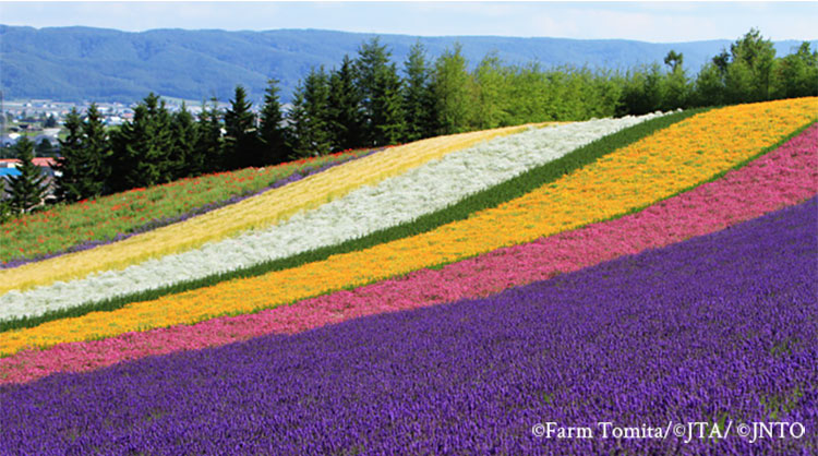 HOKKAIDO AREA