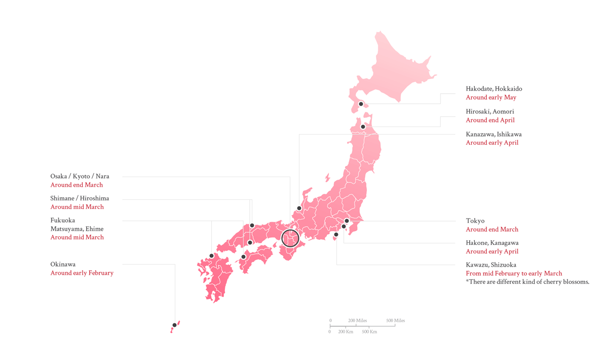 Sakura Forecast in Japan