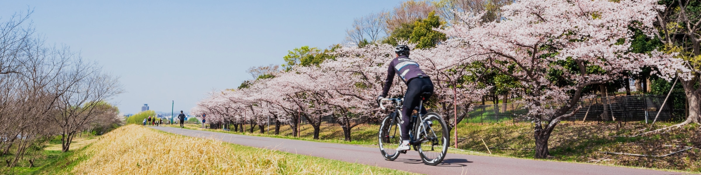 Cycling