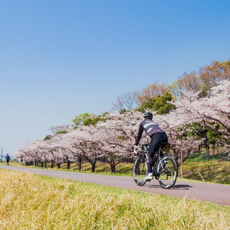 Cycling