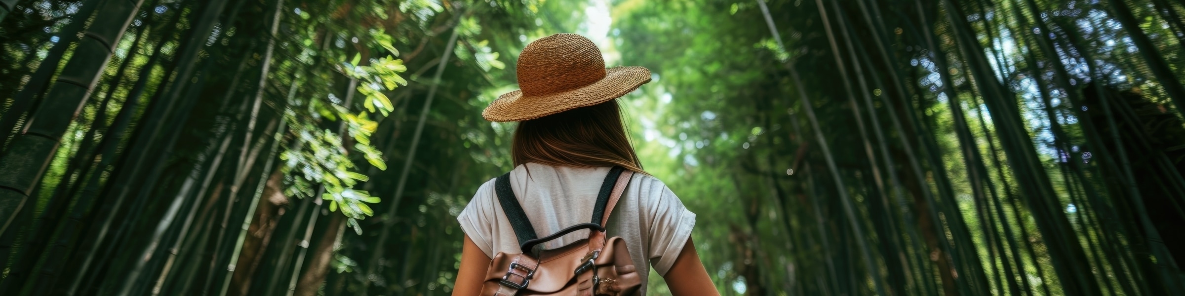 Hiking