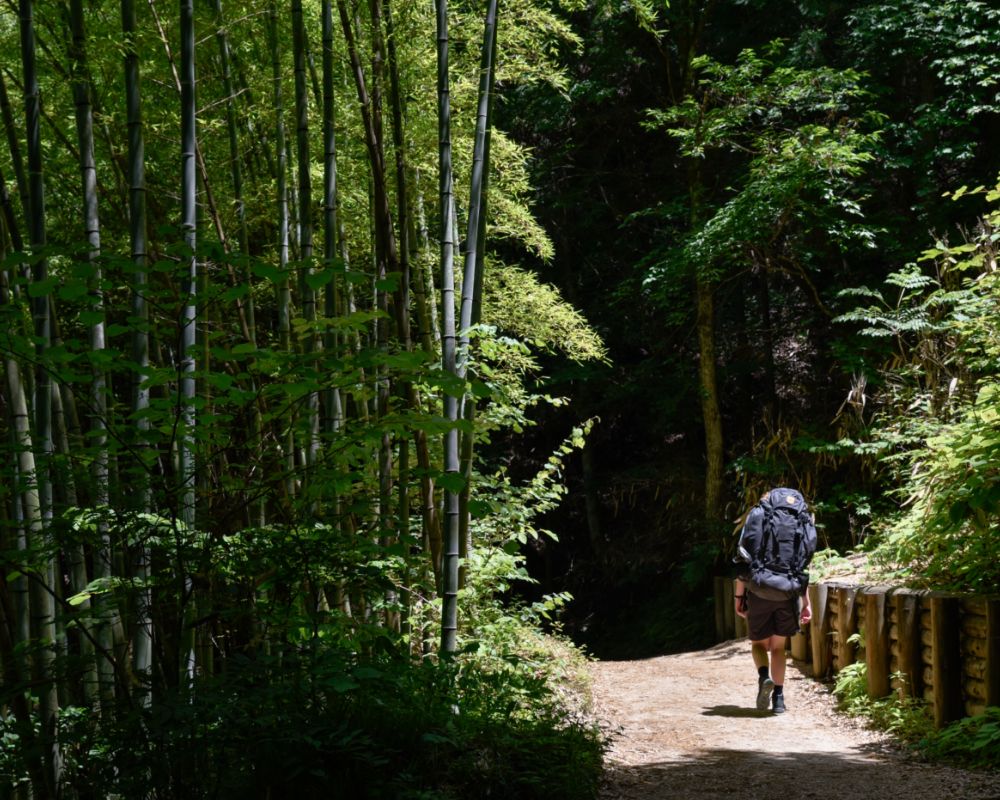 Hiking