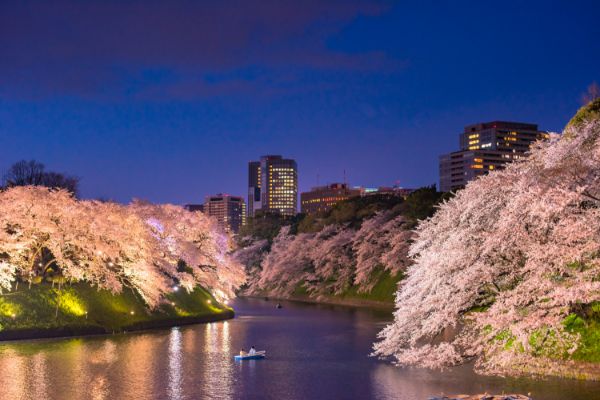 Chidorigafuchi, Tokyo