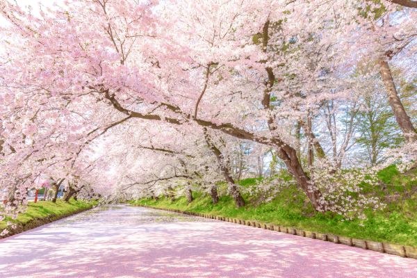 Hirosaki, Aomori