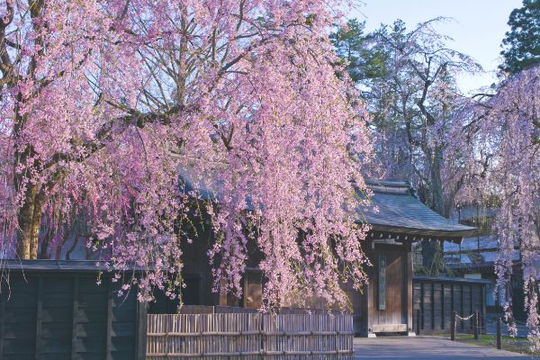 Kakunodate, Akita