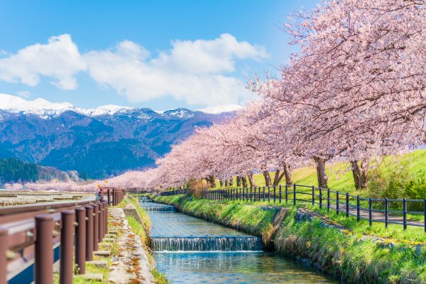 Kurobe river, Toyama