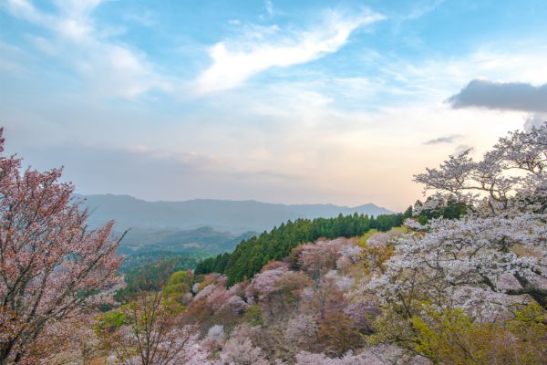 Yoshino, Nara