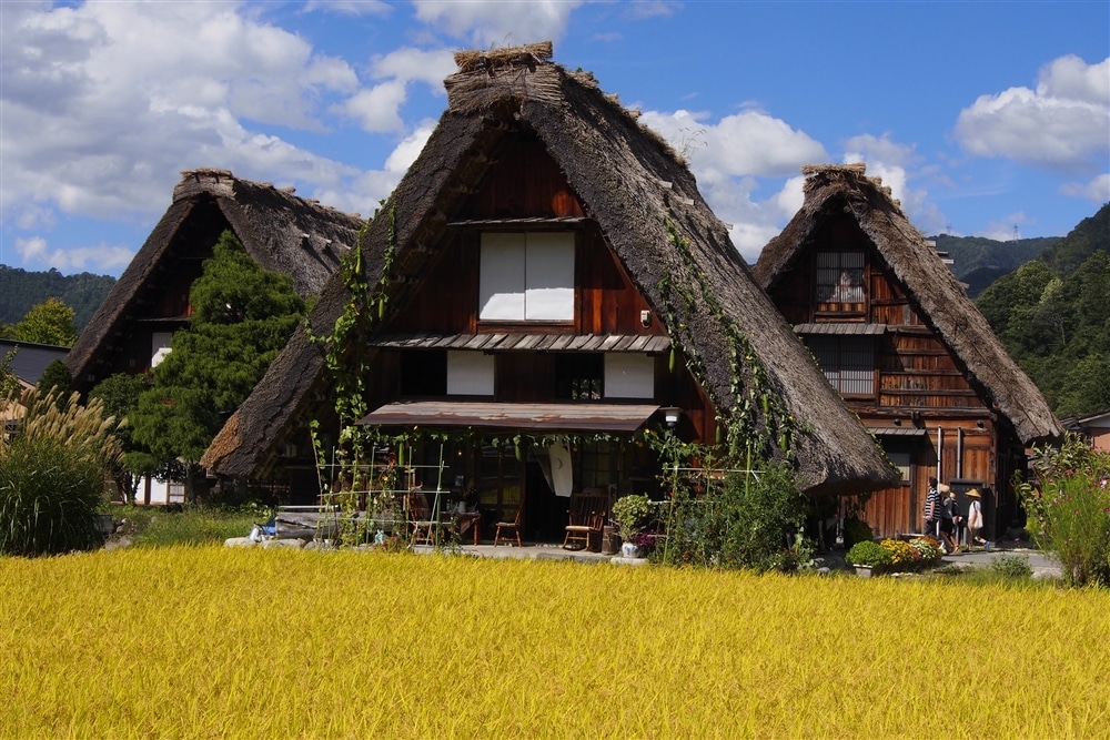 TAKAYAMA & KANAZAWA