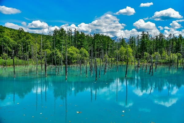 Blue pond