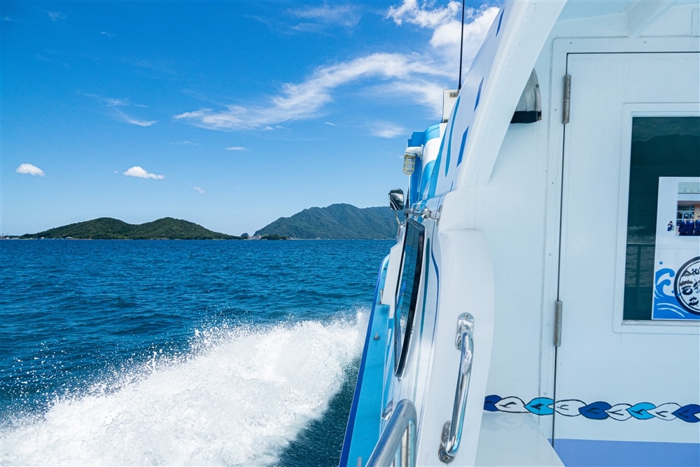 Exciting Boat Cruise of Sotomo Cliffs