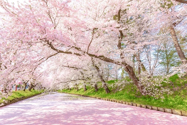 Hirosaki Park