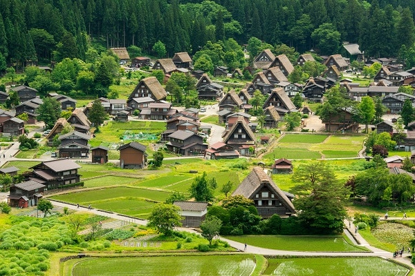 TAKAYAMA & KANAZAWA